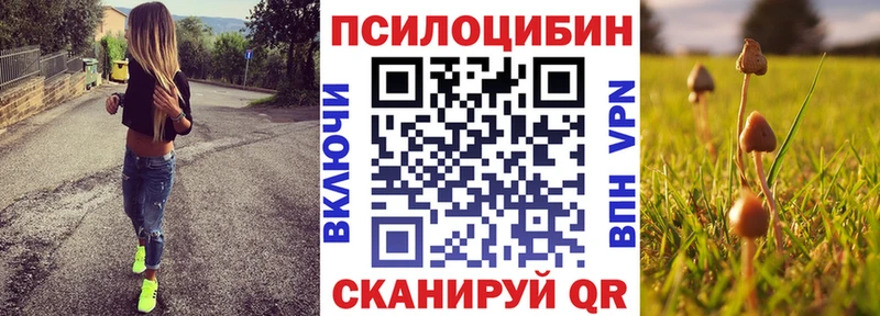 Псилоцибиновые грибы MAGIC MUSHROOMS  продажа наркотиков  Магнитогорск 
